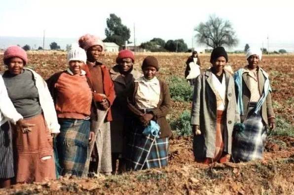 South Africa Steps up Land Reform